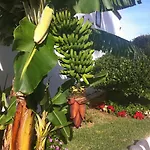דירה Eden Island Village *
