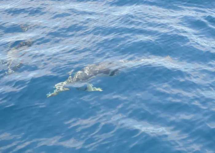 Appartement Eden Island Village