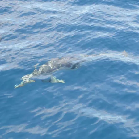 Apartment Eden Island Village