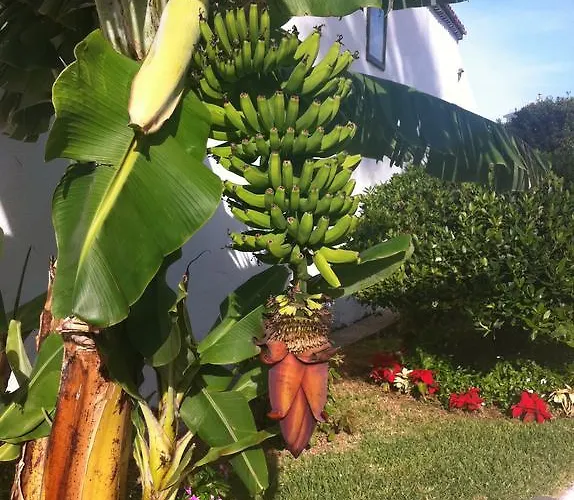 Appartamento Eden Island Village *